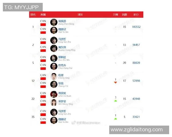 羽毛球比赛经验排行榜揭晓杭州羽毛球队荣获第三名殊荣